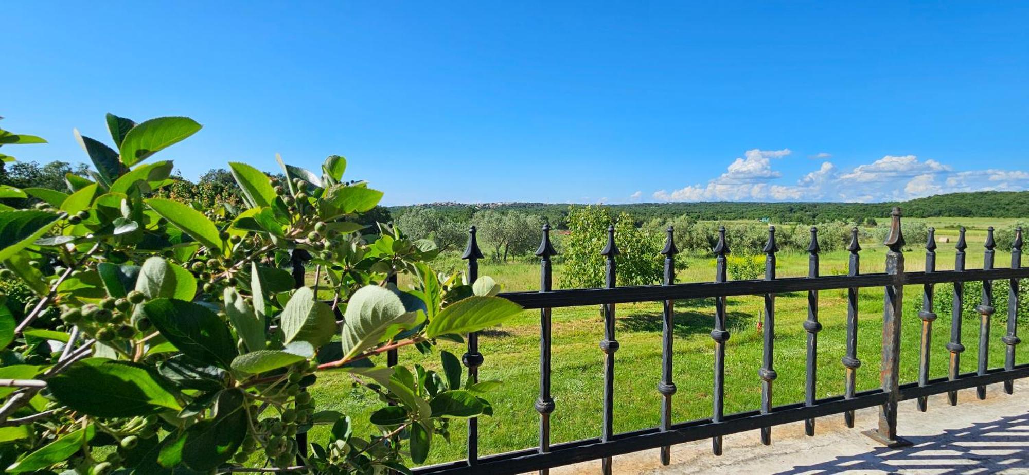 Apartments Vesna With Pool - New! Sveti Lovreč Pazenatički Εξωτερικό φωτογραφία
